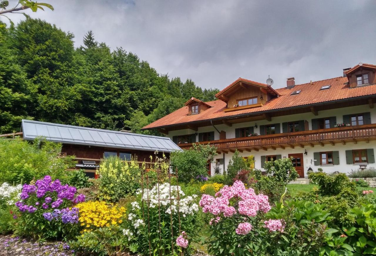 Haus Jaegerfleck, Ihre Ferienwohnungen Am Nationalpark Bayerischer Wald Spiegelau Exterior foto